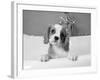 Lulu-Kim Levin-Framed Photographic Print