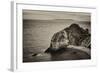 Lulworth Cove-Tim Kahane-Framed Photographic Print