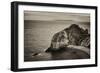 Lulworth Cove-Tim Kahane-Framed Photographic Print