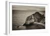 Lulworth Cove-Tim Kahane-Framed Photographic Print