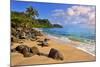 Lumahai Beach near Hanalei, Island of Kauai, Hawaii, USA-null-Mounted Art Print