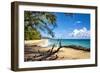Lumahai Beach-Danny Head-Framed Photographic Print