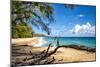 Lumahai Beach-Danny Head-Mounted Photographic Print