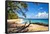 Lumahai Beach-Danny Head-Framed Stretched Canvas