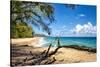 Lumahai Beach-Danny Head-Stretched Canvas