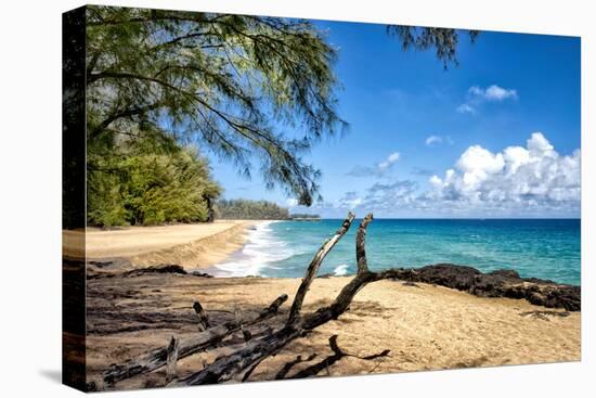 Lumahai Beach-Danny Head-Stretched Canvas