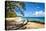 Lumahai Beach-Danny Head-Stretched Canvas