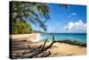 Lumahai Beach-Danny Head-Stretched Canvas