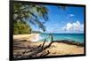 Lumahai Beach-Danny Head-Framed Photographic Print