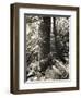 Lumb Valley, Yorkshire 1977 Calden Valley and Elmet Series-Fay Godwin-Framed Giclee Print