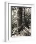 Lumb Valley, Yorkshire 1977 Calden Valley and Elmet Series-Fay Godwin-Framed Giclee Print