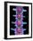 Lumbar Spine, X-ray-Science Photo Library-Framed Photographic Print