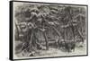Lumbering in New Brunswick, Lumbermen at Work in the Forest-null-Framed Stretched Canvas