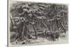 Lumbering in New Brunswick, Lumbermen at Work in the Forest-null-Stretched Canvas