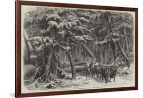 Lumbering in New Brunswick, Lumbermen at Work in the Forest-null-Framed Giclee Print