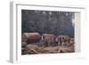 Lumbering Scene, North America-null-Framed Giclee Print