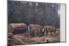 Lumbering Scene, North America-null-Mounted Giclee Print