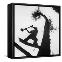 Lumberjack Cutting Tree in New Zealand-George Silk-Framed Stretched Canvas