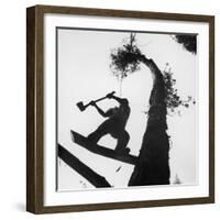 Lumberjack Cutting Tree in New Zealand-George Silk-Framed Premium Photographic Print