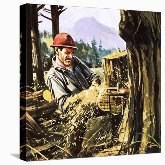 Lumberjack-Gerry Wood-Stretched Canvas