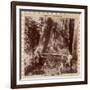 Lumberjacks About to Fell a Giant Redwood with a Drag Saw, Sacramento, California, 1893-null-Framed Giclee Print