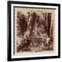 Lumberjacks About to Fell a Giant Redwood with a Drag Saw, Sacramento, California, 1893-null-Framed Giclee Print