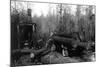 Lumberjacks and Logging Trucks in Cascades Photograph - Cascades, WA-Lantern Press-Mounted Art Print