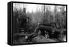 Lumberjacks and Logging Trucks in Cascades Photograph - Cascades, WA-Lantern Press-Framed Stretched Canvas