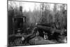 Lumberjacks and Logging Trucks in Cascades Photograph - Cascades, WA-Lantern Press-Mounted Art Print
