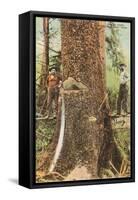 Lumberjacks Felling Cedar, Washington-null-Framed Stretched Canvas