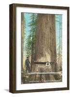 Lumberjacks Felling Fir, Washington-null-Framed Art Print
