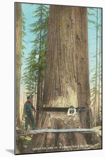 Lumberjacks Felling Fir, Washington-null-Mounted Art Print