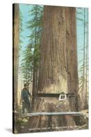 Lumberjacks Felling Fir, Washington-null-Stretched Canvas