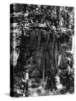 Lumberjacks prepairing Fir Tree for St. Louis World's Fair Photograph - Washington State-Lantern Press-Stretched Canvas