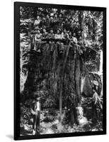 Lumberjacks prepairing Fir Tree for St. Louis World's Fair Photograph - Washington State-Lantern Press-Framed Art Print