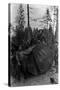 Lumberjacks standing around 7 ft. Fir Tree Photograph - Cascades, WA-Lantern Press-Stretched Canvas