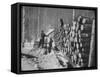 Lumbermen at Lumber Camp in Newfoundland-Carl Mydans-Framed Stretched Canvas
