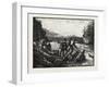 Lumbermen at Work, the Drive, Lumbering, Canada, Nineteenth Century-null-Framed Giclee Print