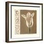 Lumiere I-Amy Melious-Framed Art Print