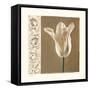 Lumiere I-Amy Melious-Framed Stretched Canvas