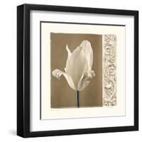 Lumiere II-Amy Melious-Framed Art Print