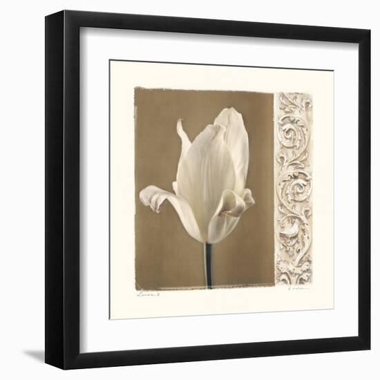 Lumiere II-Amy Melious-Framed Art Print