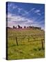 Lumiere Winery, Temecula, California, USA-Richard Duval-Stretched Canvas