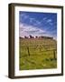 Lumiere Winery, Temecula, California, USA-Richard Duval-Framed Photographic Print