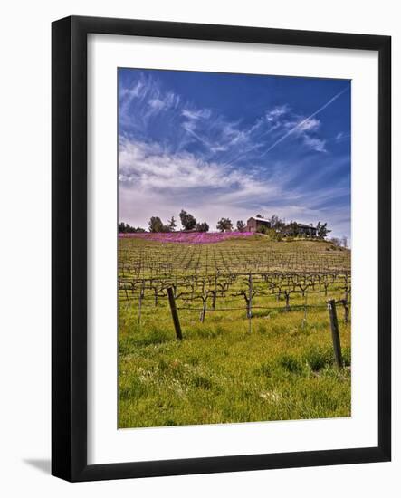 Lumiere Winery, Temecula, California, USA-Richard Duval-Framed Photographic Print