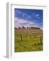 Lumiere Winery, Temecula, California, USA-Richard Duval-Framed Photographic Print