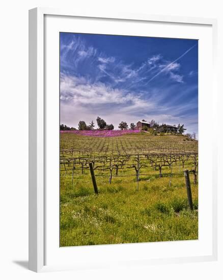 Lumiere Winery, Temecula, California, USA-Richard Duval-Framed Photographic Print