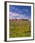 Lumiere Winery, Temecula, California, USA-Richard Duval-Framed Photographic Print