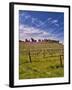 Lumiere Winery, Temecula, California, USA-Richard Duval-Framed Photographic Print
