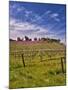 Lumiere Winery, Temecula, California, USA-Richard Duval-Mounted Photographic Print